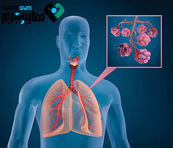 افزایش حجم ریه ها با ورزش!