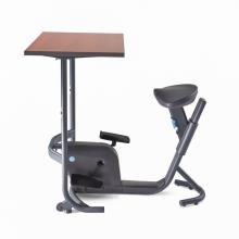 دوچرخه ثابت لایف اسپن Unity Bike Desk